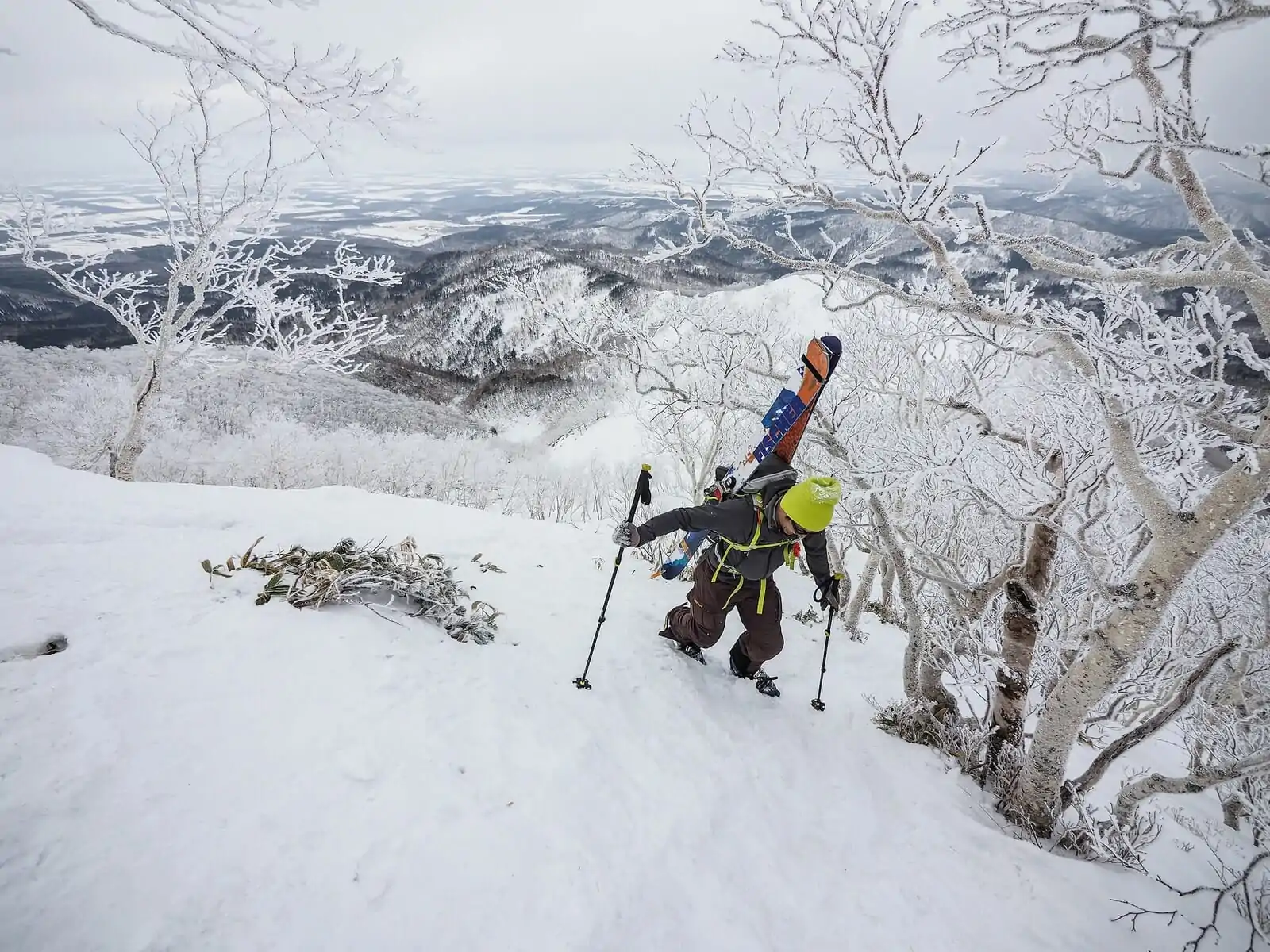 Skiing vs Hiking in Japan Which is Better